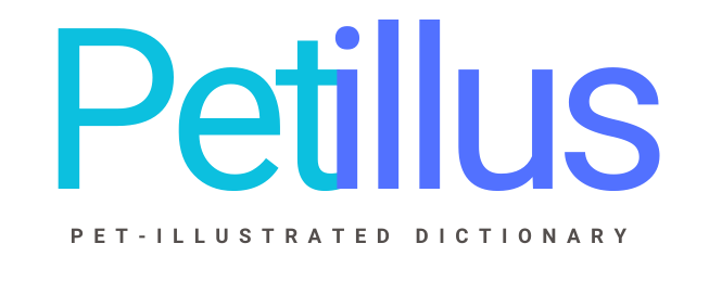 Petillus